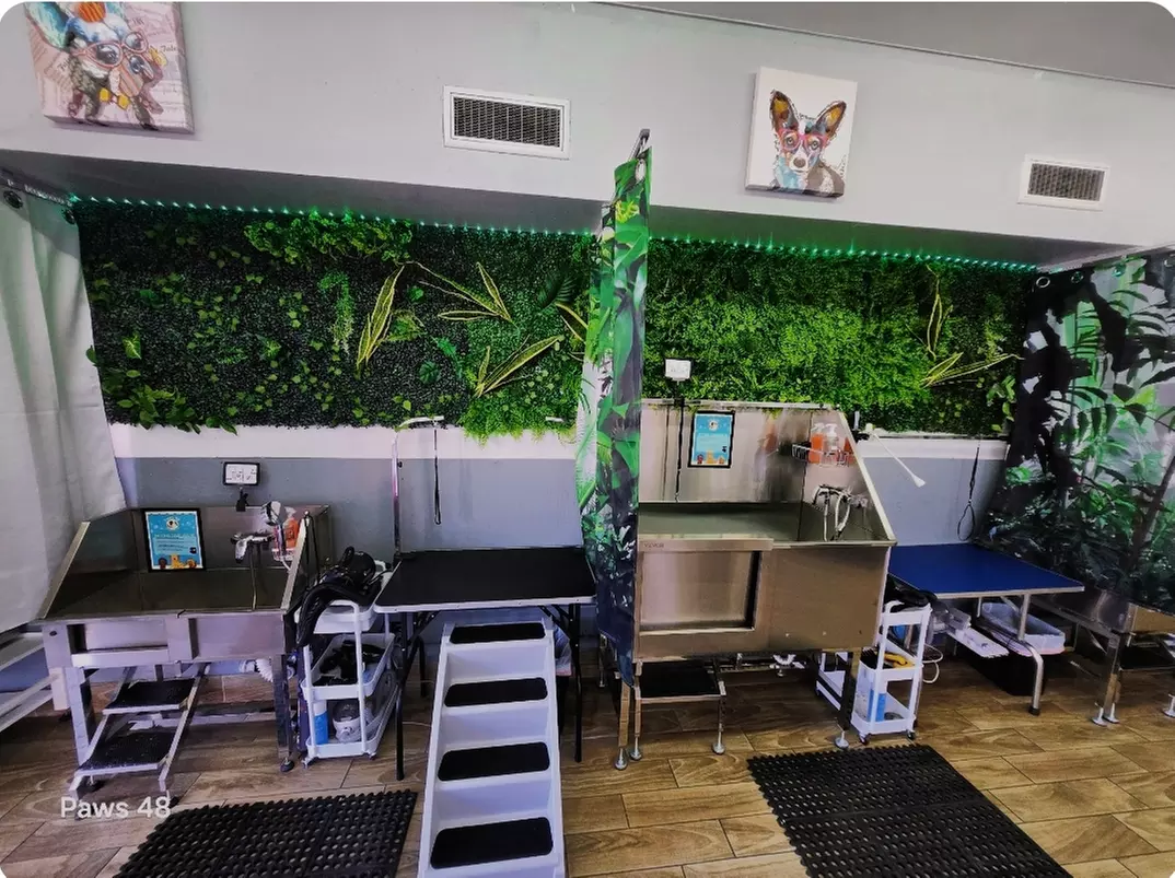 45-Min of Self-Service Dog Wash Or 30-Min Dog Treadmill sessions at Paws 48(Up to 50% Off) - Primary Image