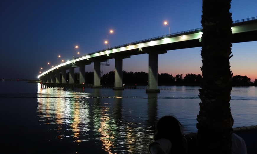 Image 3: 1-Hour and 45-Minute Dolphin Exploration Boat Tour in Clearwater, FL