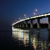 Image 3: 1-Hour and 45-Minute Dolphin Exploration Boat Tour in Clearwater, FL