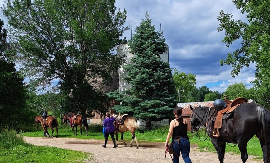 Image 1: Explore Private Horseback Riding Lessons for All Levels