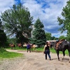 Image 1: Explore Private Horseback Riding Lessons for All Levels