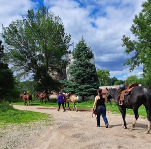 One 60-Minute Private Horseback Riding Lesson for 1 Person - KS Riding