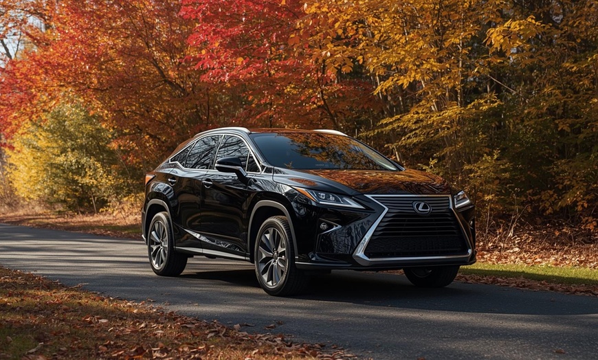 Image 4: Experience safety and cleanliness with premier Female Rides