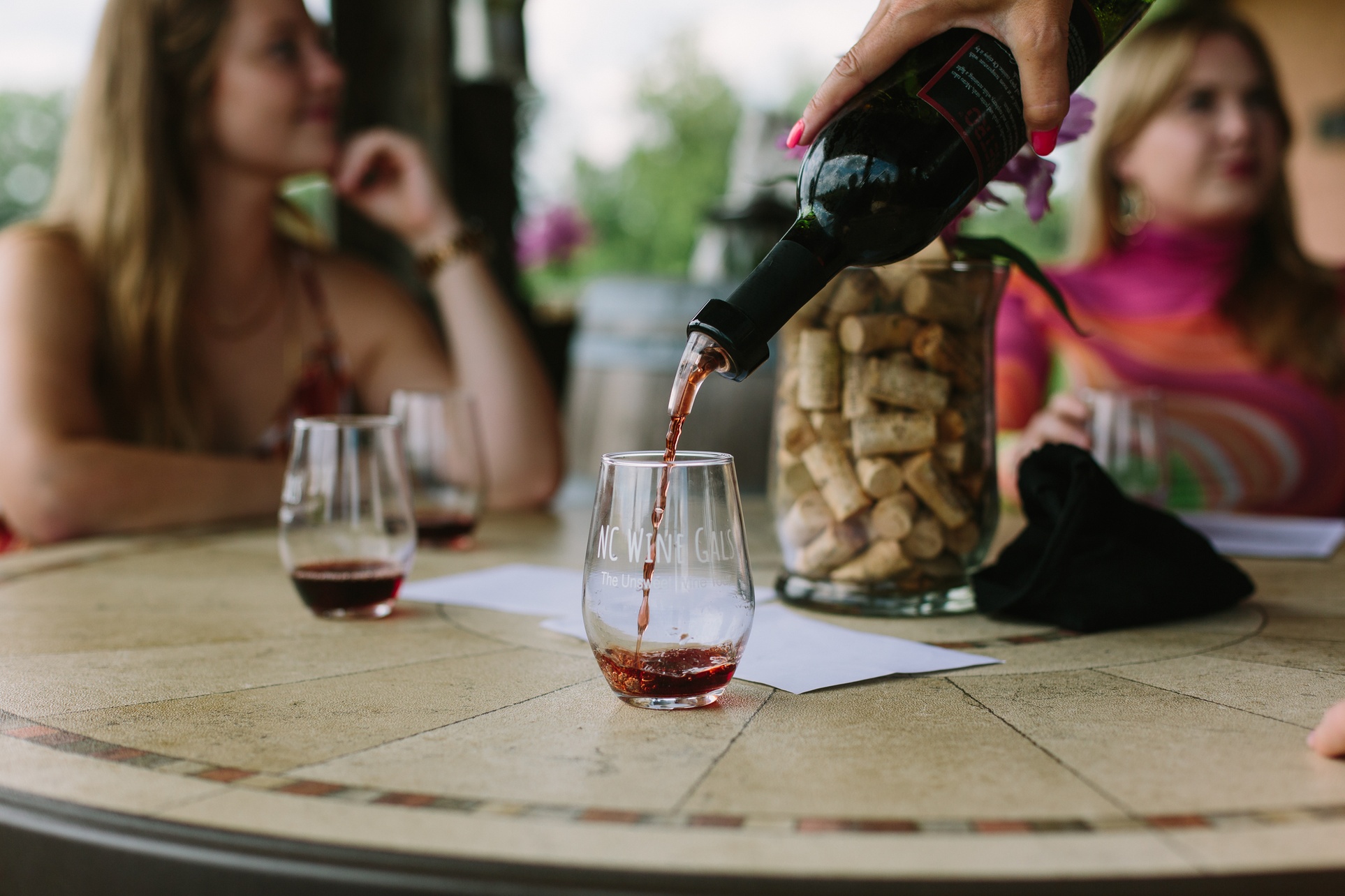 Up to 28% Off on Wine / Vineyard Tour at NC Wine Gals