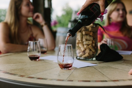 Two Vineyard Wine Tour (Asheville) - NC Wine Gals