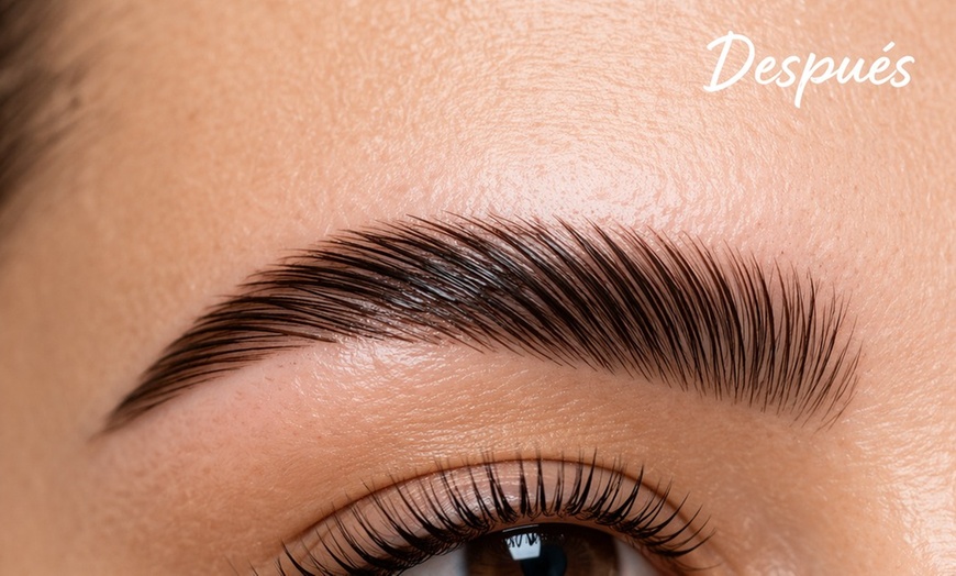 Image 2: Enhance Your Natural Beauty with Eyebrow Lamination & Eyelash Lifting