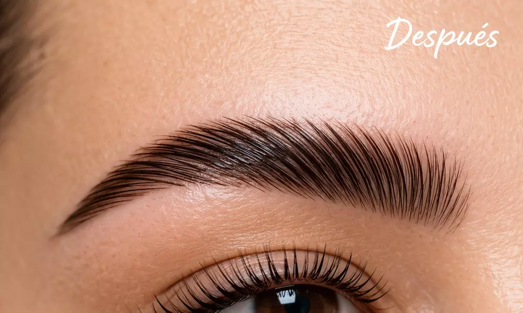 Enhance Your Natural Beauty with Eyebrow Lamination & Eyelash Lifting
