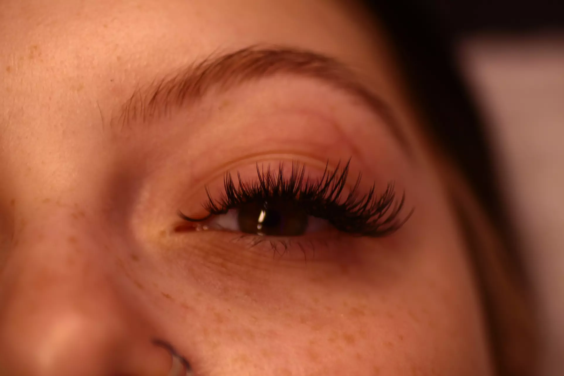 Transform Your Look with Full Set Lash Extensions or a New Client Fill