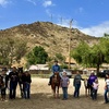 Image 4: Horseback Riding Lessons & Guided Sessions at Starlight Acres, Jamul