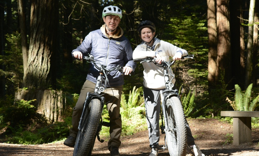 Image 1: Escape to Redwoods: 2-Hr Private E-Bike Tour - Up to 4, 5 or 6 Riders 