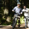 Image 1: Escape to Redwoods: 2-Hr Private E-Bike Tour - Up to 4, 5 or 6 Riders 