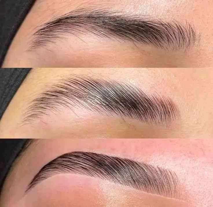 Up to 37% Off on Eyebrow Tinting at Vellash - Primary Image