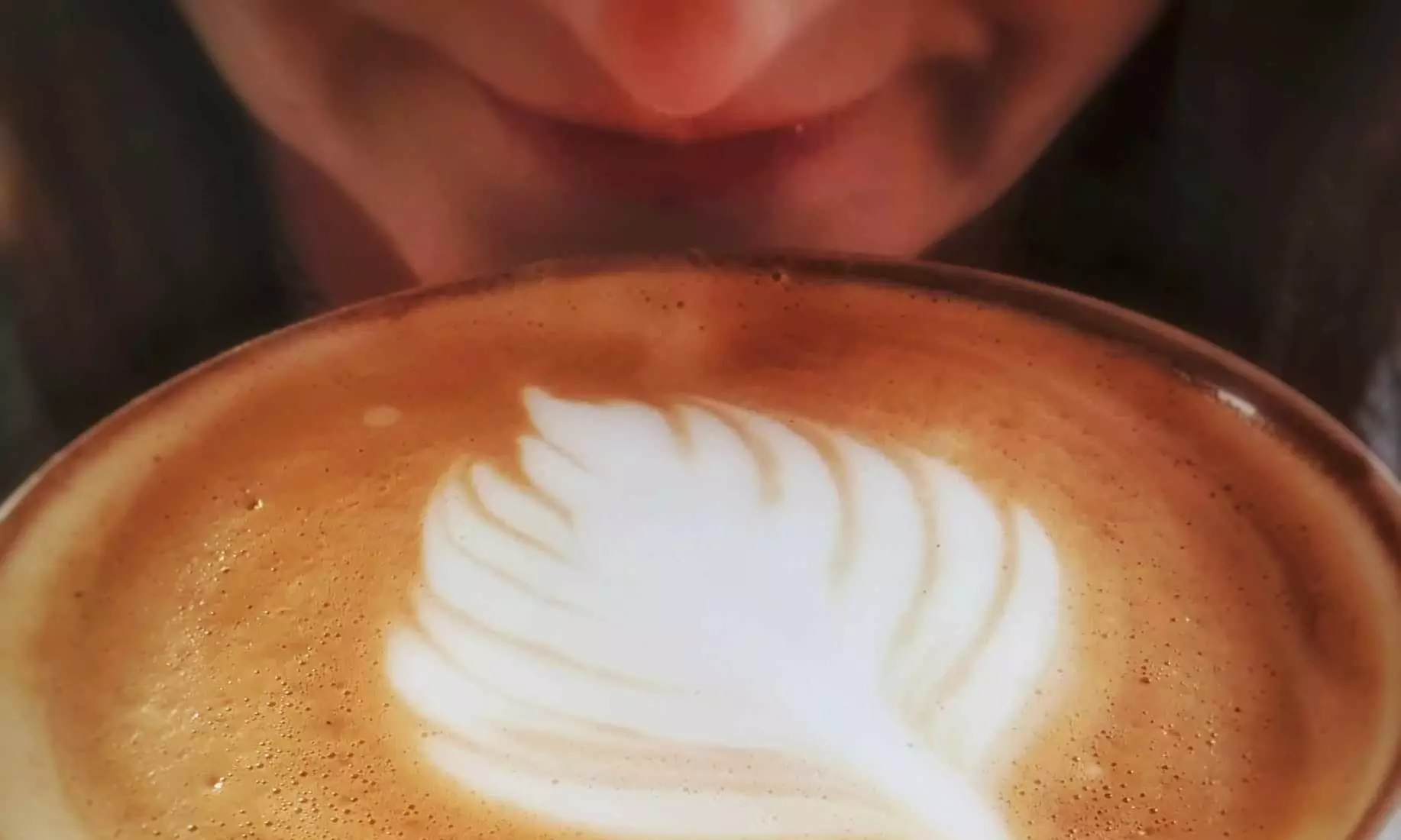 Delicious Breakfast & Lunch Deals for 1, 2, or 4 

4o