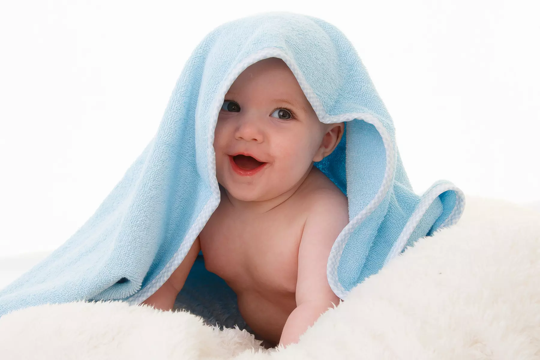 Capture Memories with Family Photoshoot with an Album of Six Images