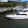 Image 1: Luxury Yacht Party for Up to 13 People – Miami, FL