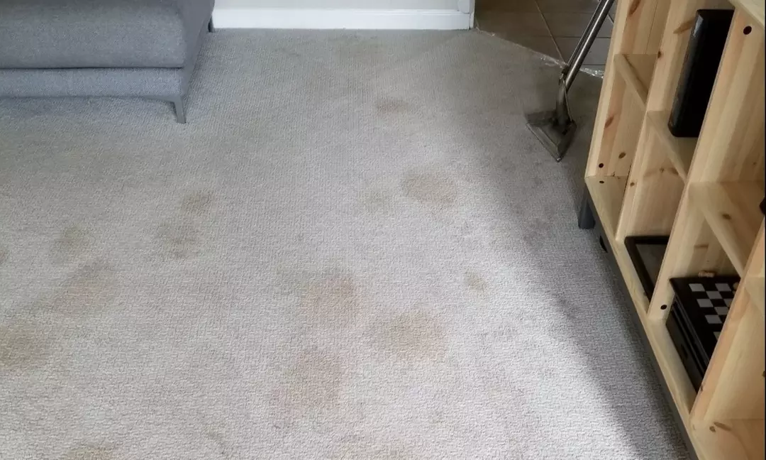 Up to 73% Off on Green / Eco Carpet Cleaning at Got Carpets? - Primary Image