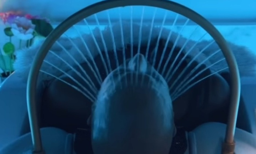 Image 9: Head Spa Treatments: 60, 90 Min & 3-Hour Zen Escape Wellness Package