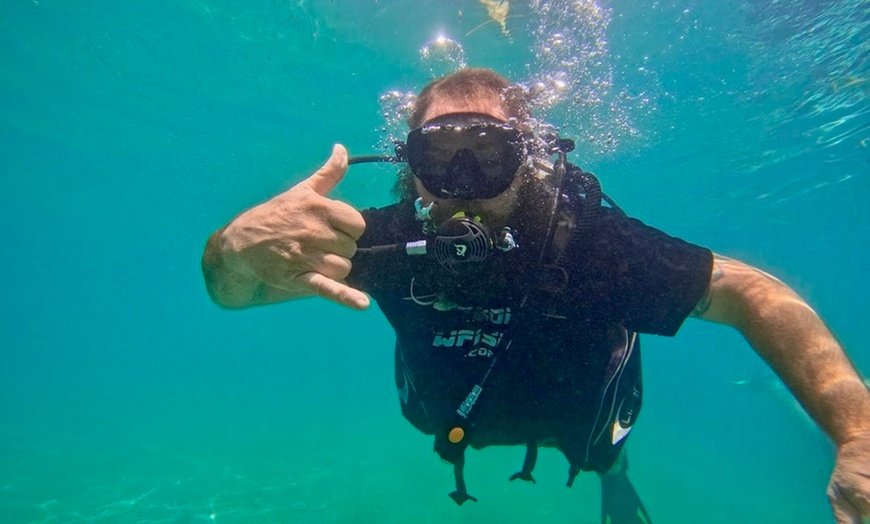 Image 6: Explore Honolulu’s Underwater Wonders: Try Scuba Diving's Guided Scuba Tours with Gear & Videos- Up to 66% Off