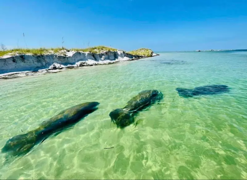 Up to 25% Off on Boat Tour at Tropical Tiki Cruises