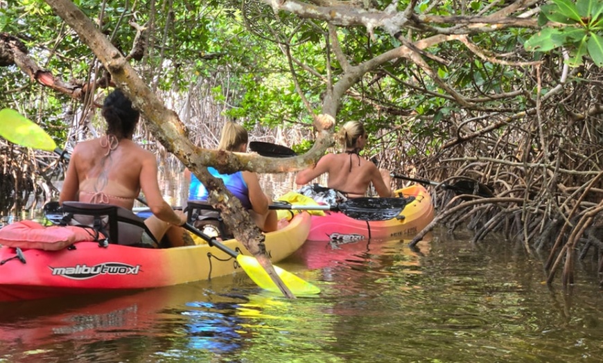 Image 21: Guided Kayak or SUP Eco-Tour – Geiger Key, Key West