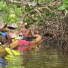 Image 21: Guided Kayak or SUP Eco-Tour – Geiger Key, Key West