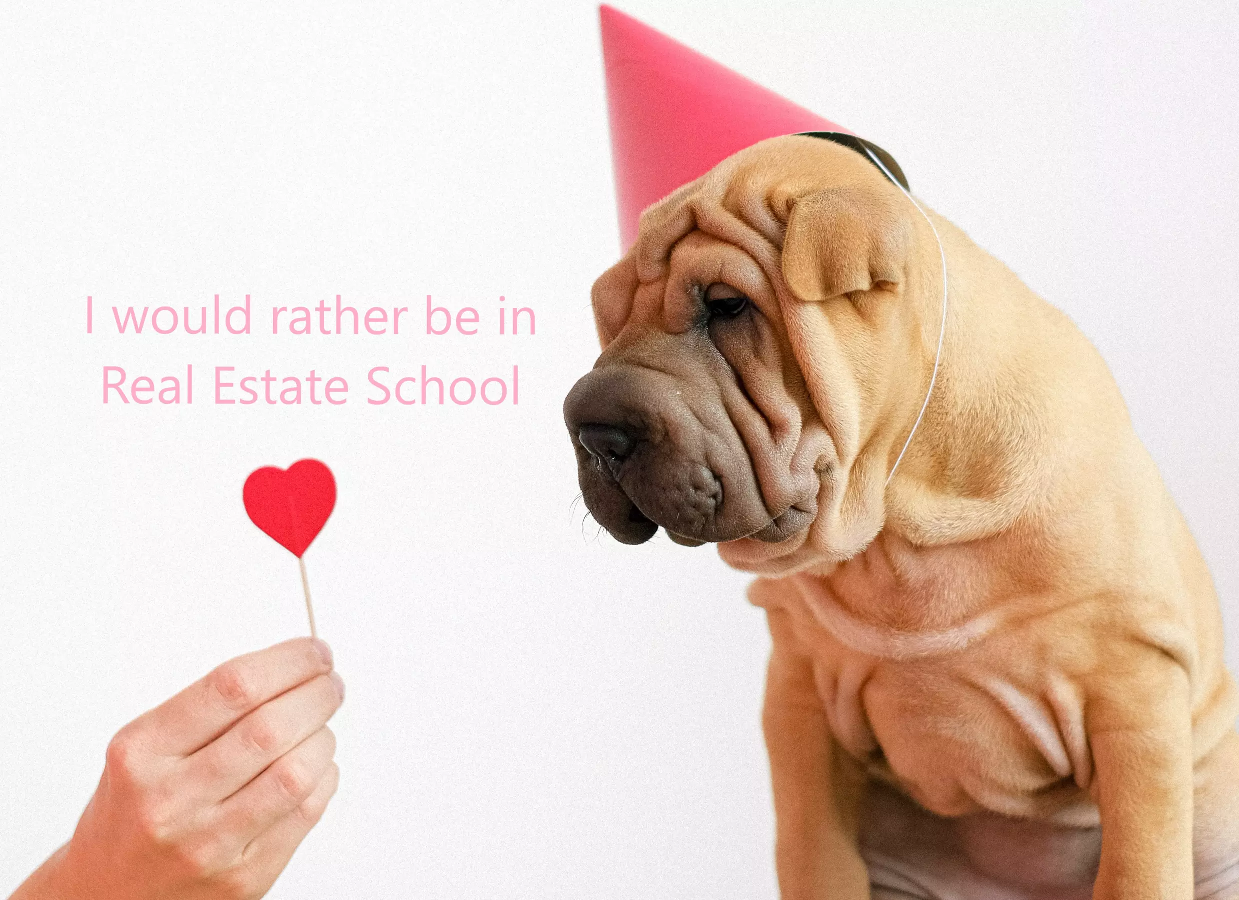 Up to 80% Off on Online Real Estate Course Coupon at Goliath Real Estate School - Primary Image