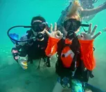 Explore Honolulu’s Underwater Wonders: Try Scuba Diving's Guided Scuba Tours with Gear & Videos- Up to 66% Off