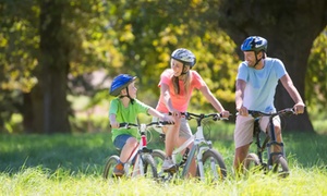 Ride Through New York w/ Unlimited Biking Rentals'  2- or 4-hour E-Bike Rental for 1 Person 