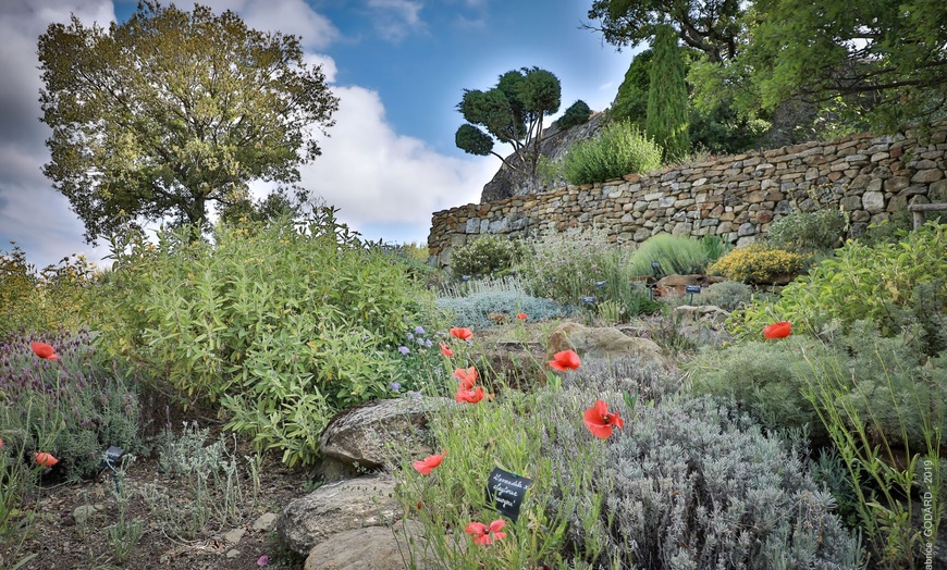 Image 9: Saveurs et nature : menu gourmand et visite des jardins de l'Abbaye