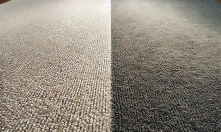 Pet stain removal treatment for three areas - Perfect Cleaning Services