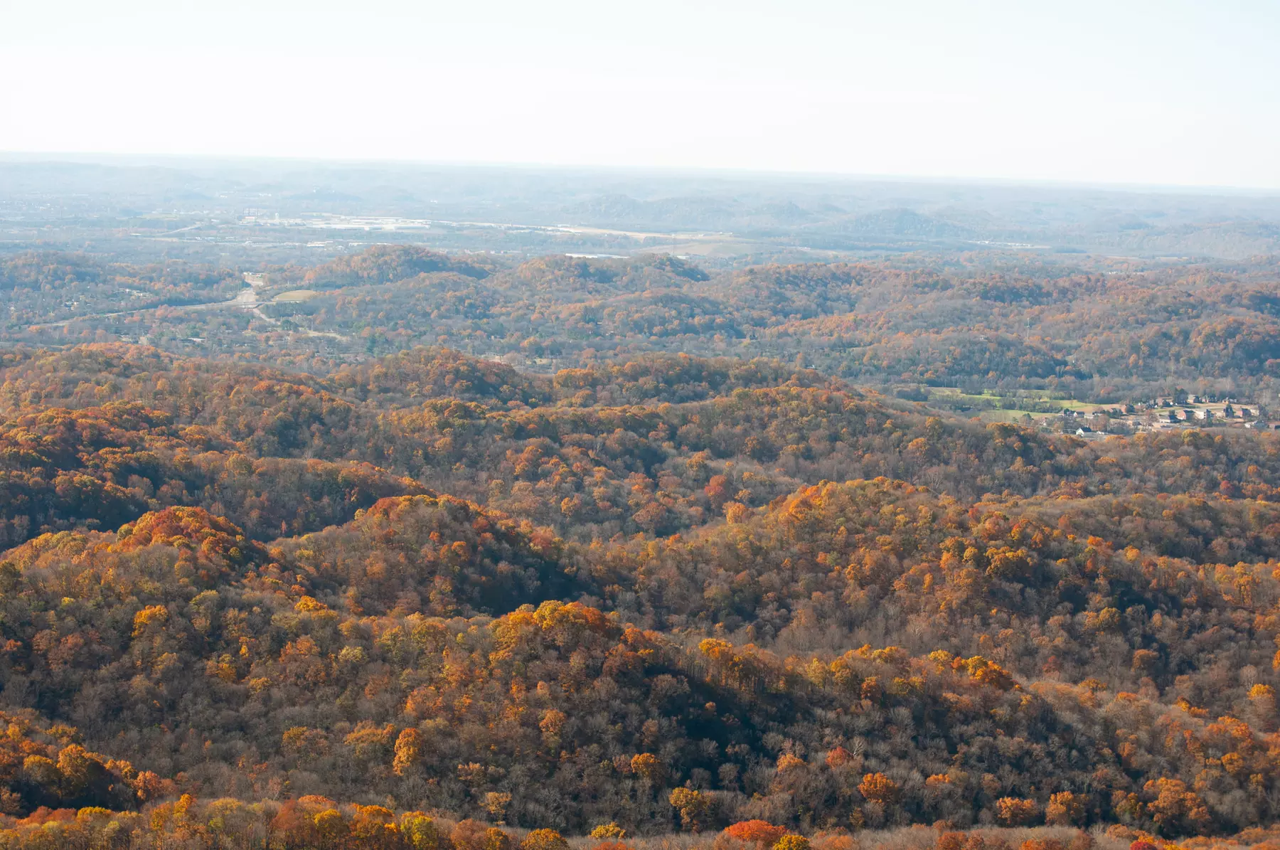 Private Helicopter Tours Over Nashville's Iconic Skyline and Landmarks