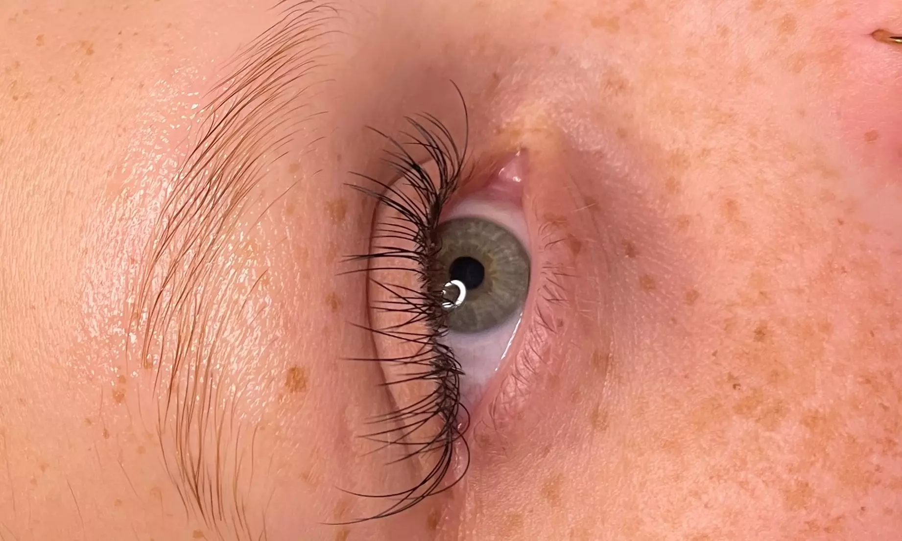 Up to 50% Off on Eyelash Extensions at Reign Beauty Bar LLC - Second Medium