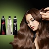 Image 6: Haircut, Blow-Dry, Deep Conditioning, Single Color or Half Highlights