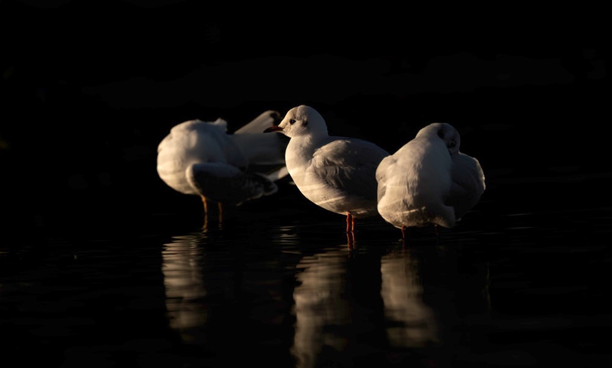 Image 10: Wildlife Photography Workshop for Beginners at Touch the Wild