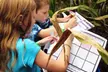 Up to 56% Off on Fall Family Fun at Maize Quest: Giant Corn Maze, 30+ Attractions & More – Ends Nov. 2 - Second Medium