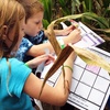 Image 10: Maize Quest: Giant Corn Maze & Fun Park Adventure