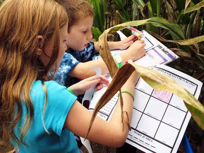 Up to 56% Off at Maize Quest: Corn Maze, Attractions & More
