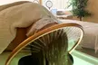 Up to 46% Off on Salon - Scalp Care at Luz Spa Studio - Second Medium