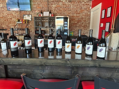 Wine Tasting for One - Divinely Elegant Vines