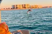 Experience Unforgettable Destin Bay Boat Rides with Wildlife Sightings - Second Medium