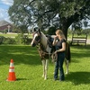 Image 8: Beginner Cowboy/Cowgirl Experience for Groups