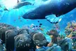 Hawaii’s First XR Adventure Tour for 1 Person, 1 Adult + 1 Child, Two or Four People - Up to 41% Off - Second Medium
