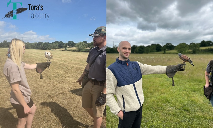 Image 1: Join a For One or Two: 2-Hour Birds of Prey Experience