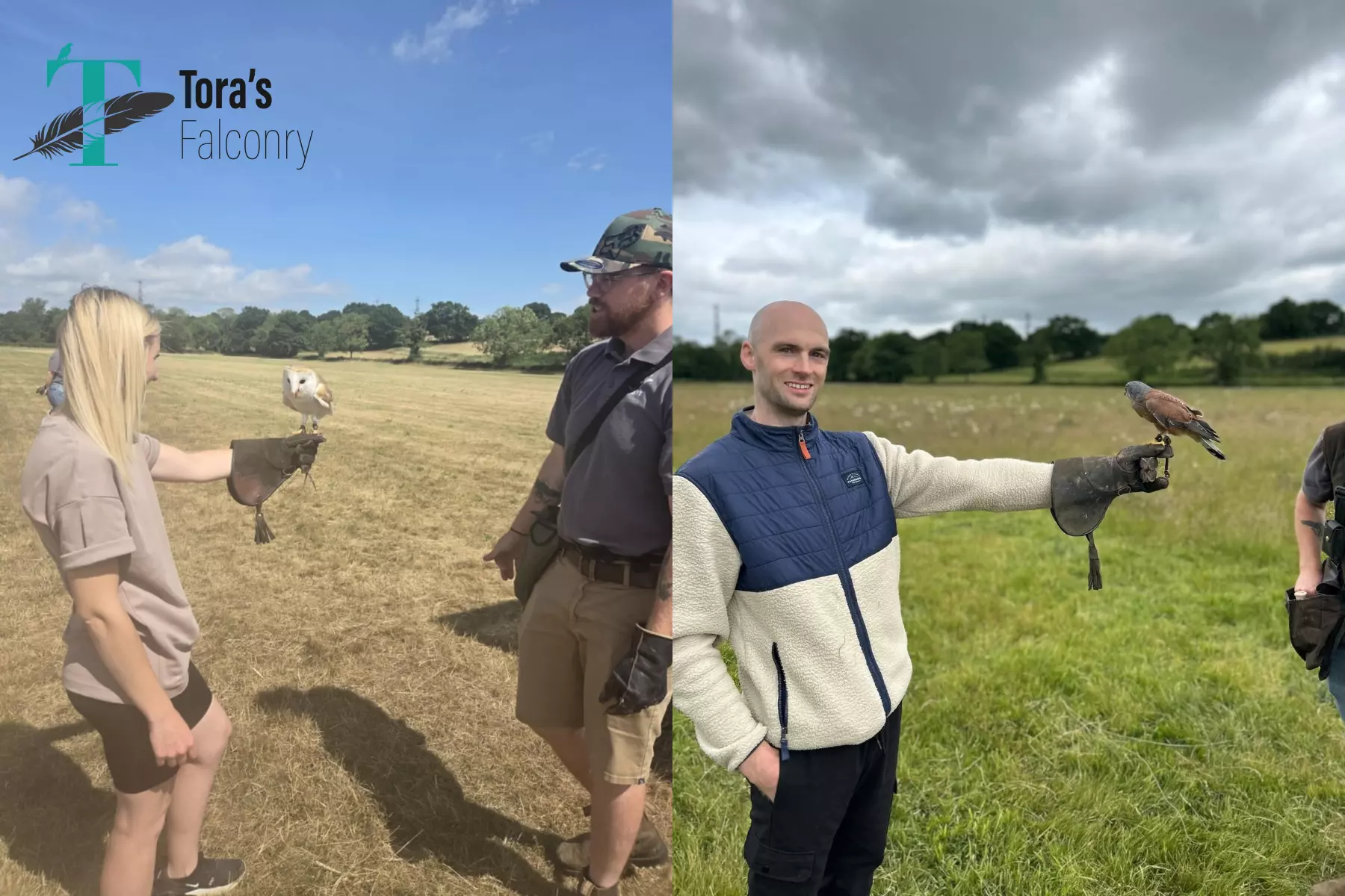 Join a For One or Two: 2-Hour Birds of Prey Experience