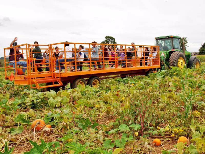Up to 56% Off at Maize Quest: Corn Maze, Attractions & More
