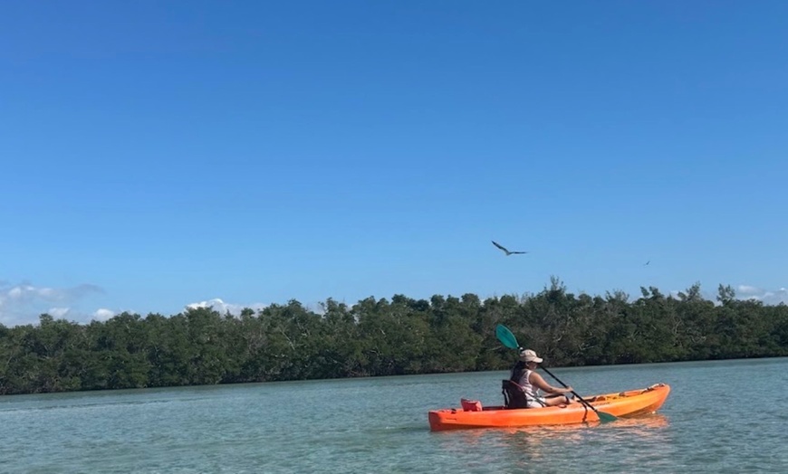 Image 9: Kayak & Paddleboard Rentals – Siesta Key Adventures