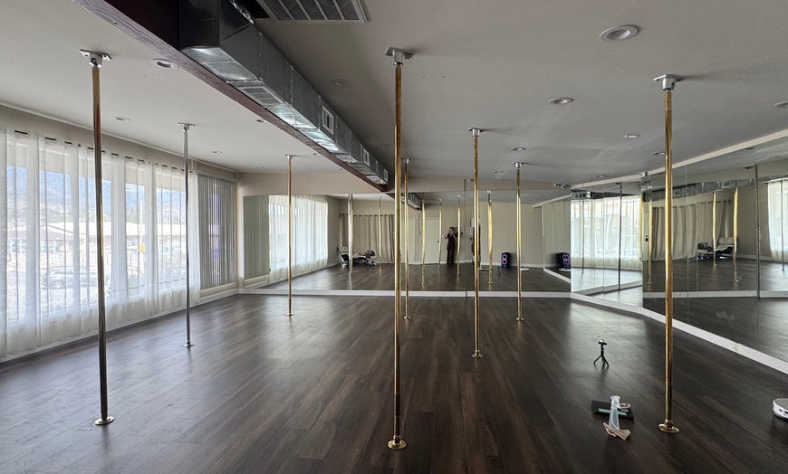 Image 3: Empowering Pole Dance & Fitness Classes 