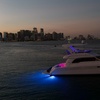 Image 6: 90-Minute Miami Celebrity Homes & Millionaire Mansions Boat Tour