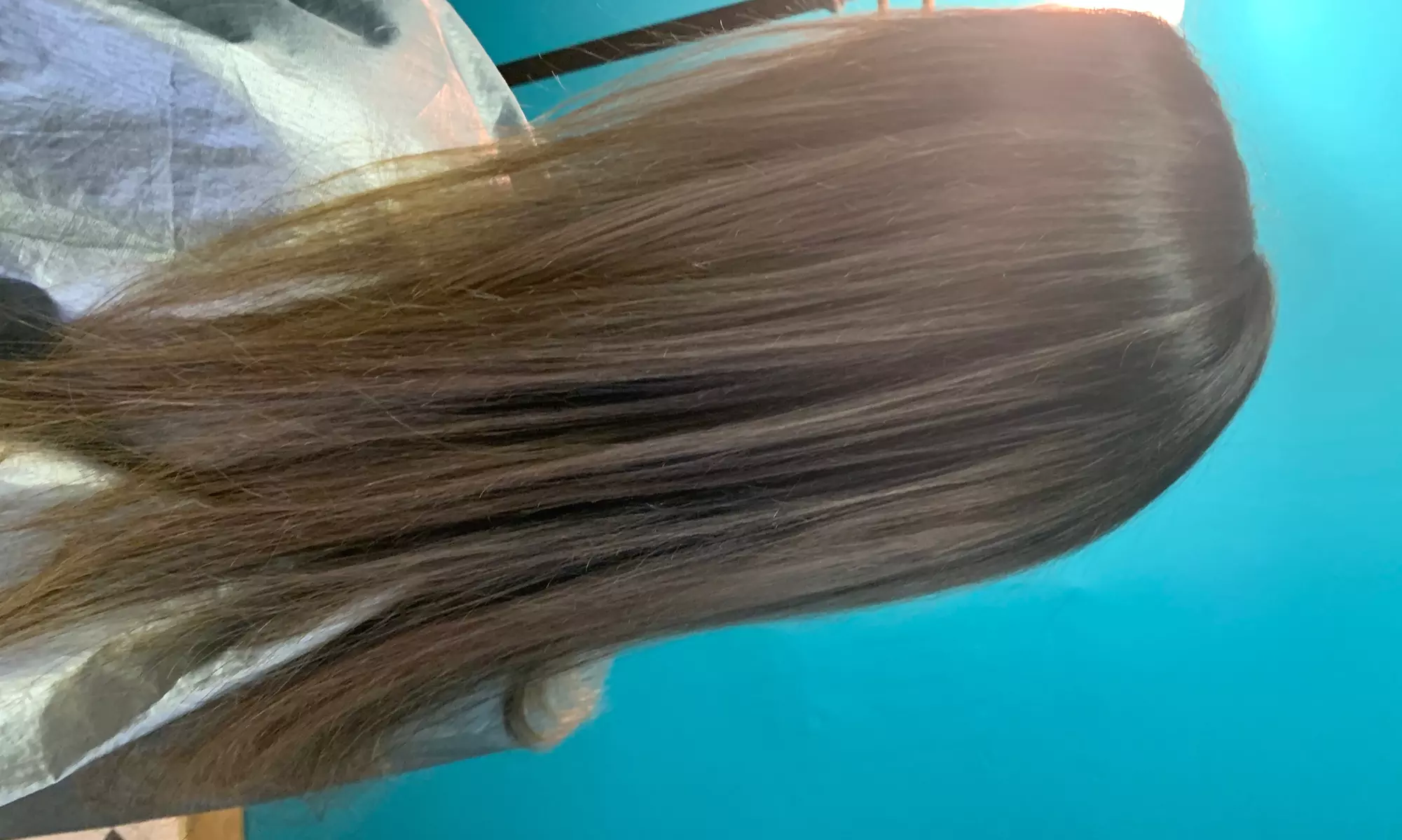 Get a Fresh New Look with Color, Haircut, and more!