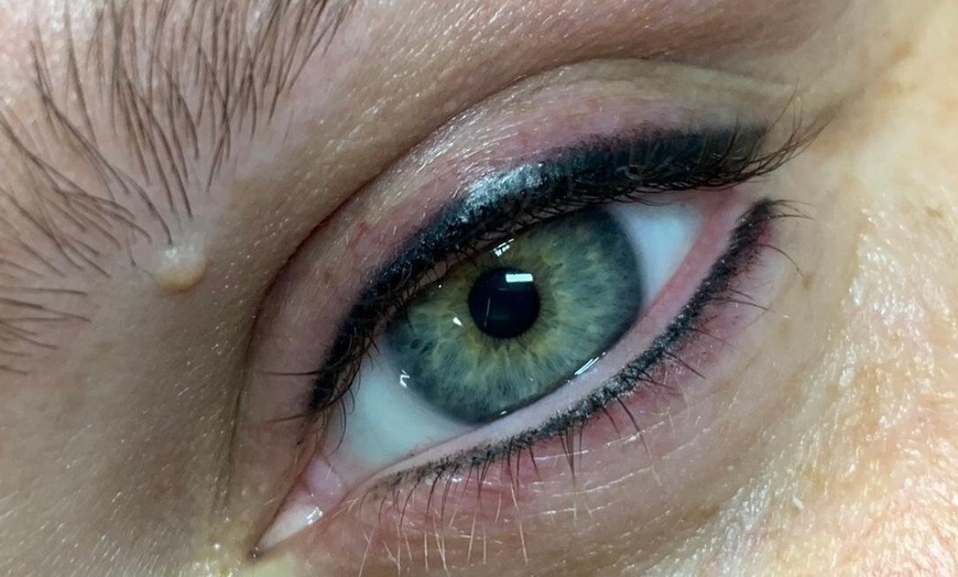 Image 8: Up to 30% Off on Microblading at Pink Velvet Salon at Salon Lofts